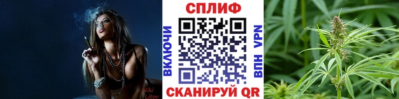 Бошки Шишки Amnesia Макушино